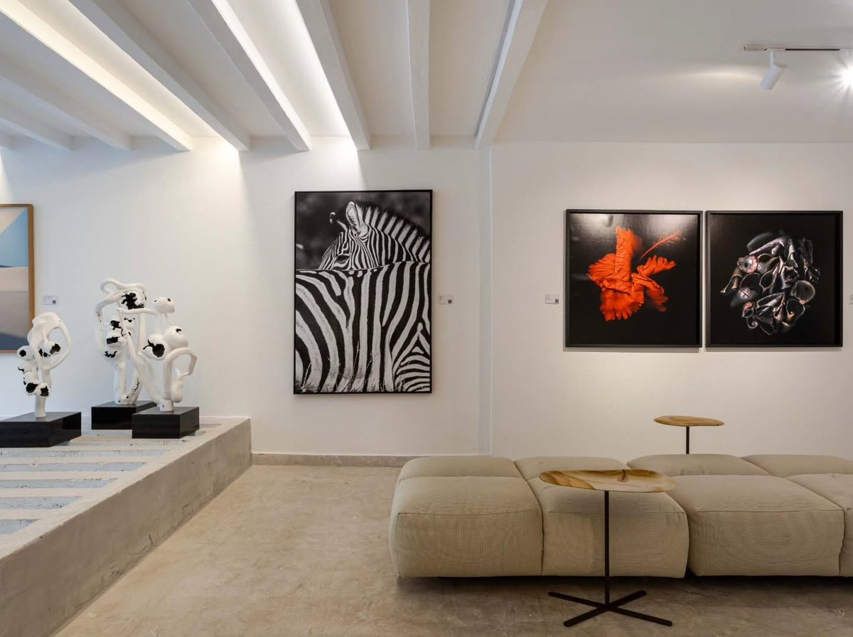 Installation view of VINTE E UM, by Lu Brito