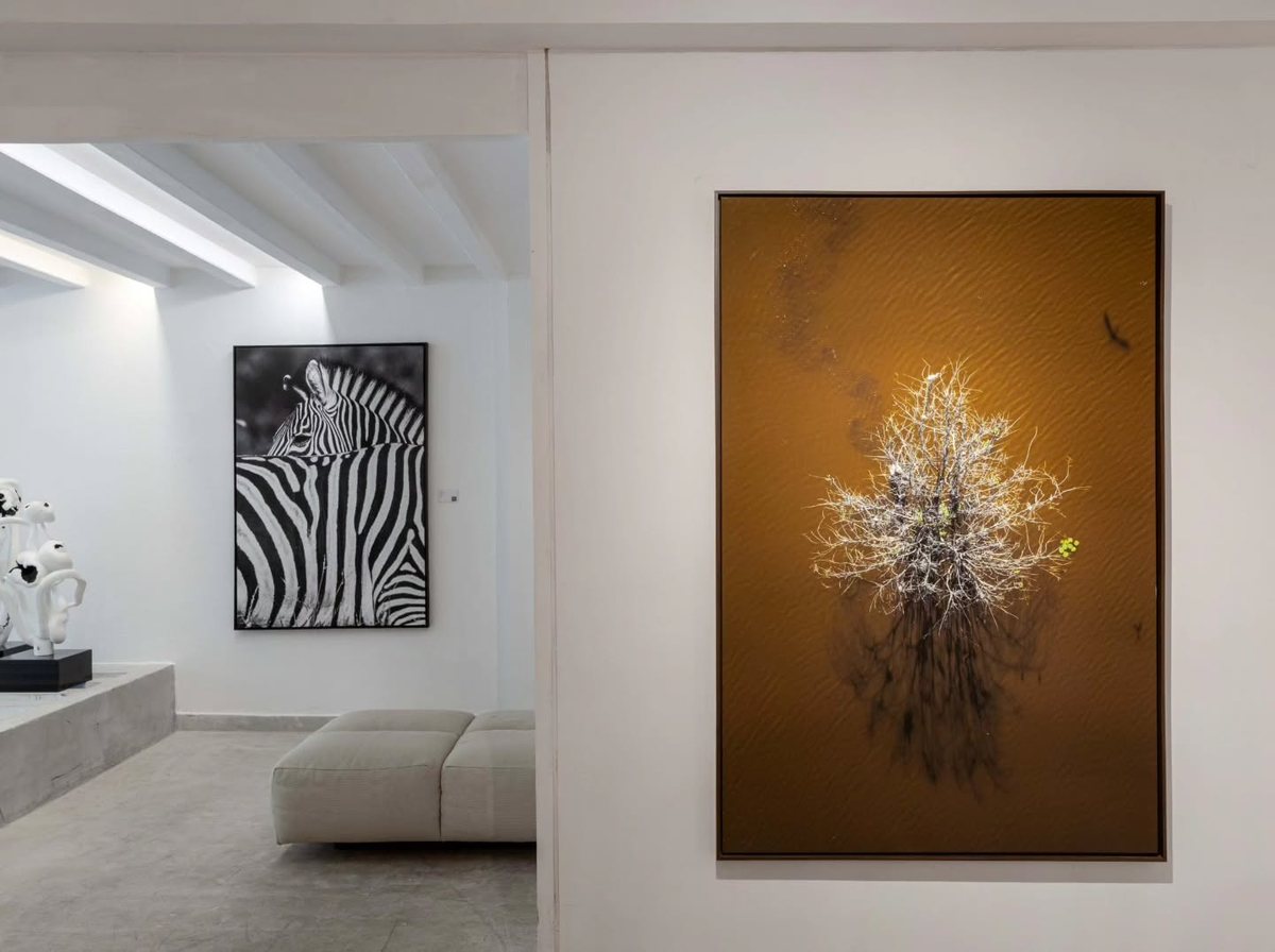 Installation view of VINTE E UM, by Lu Brito