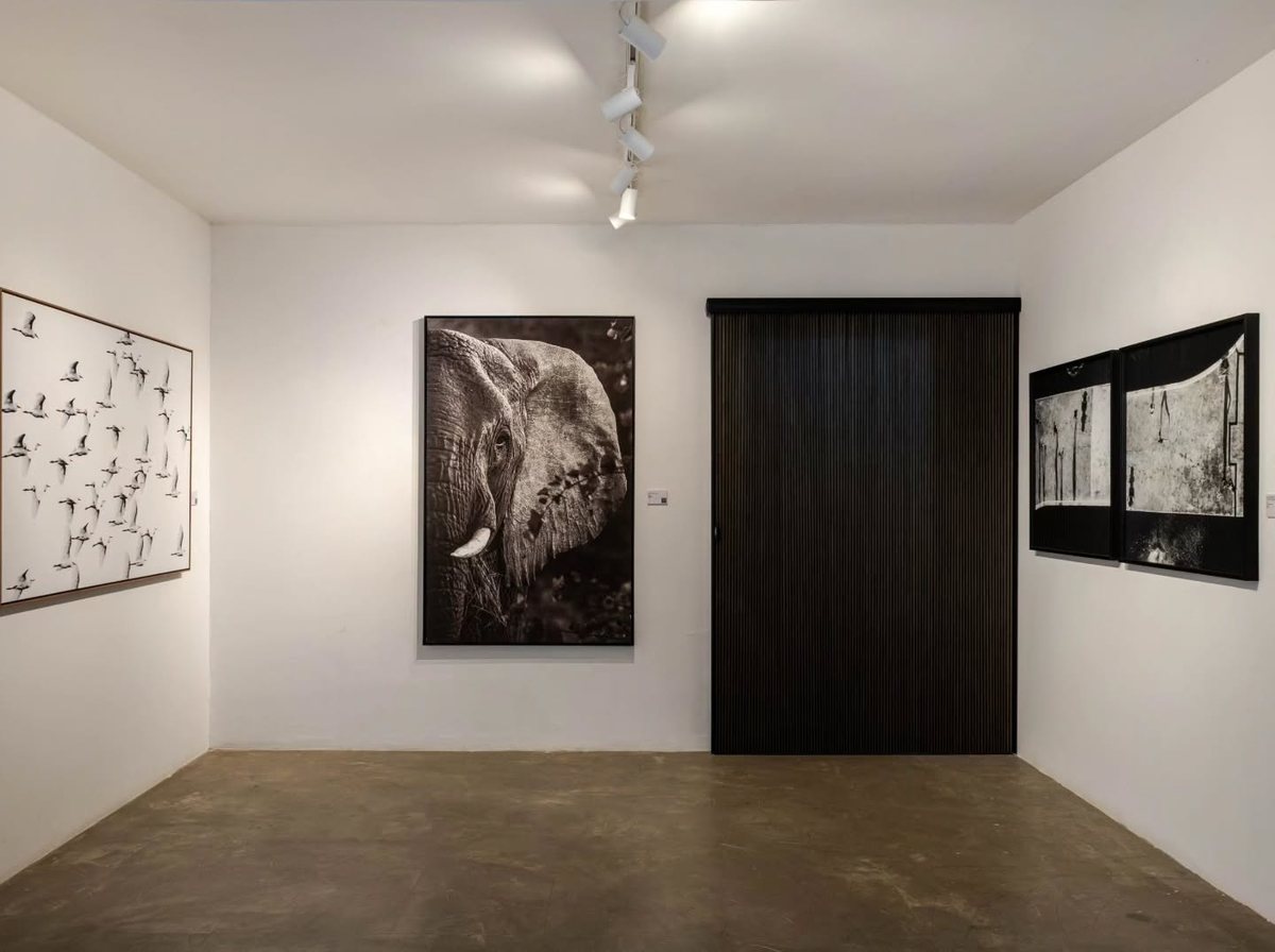 Installation view of VINTE E UM, by Lu Brito