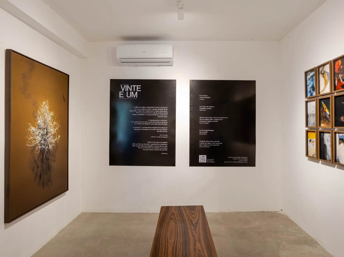 Installation view of VINTE E UM, by Lu Brito